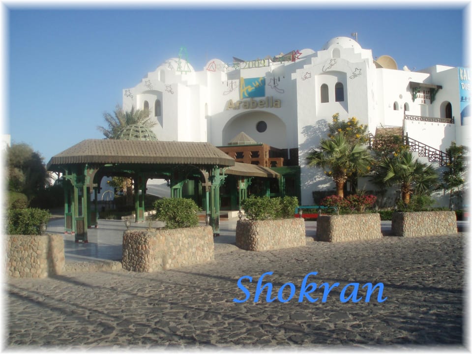 Danke für das ganze Hotel, der Urlaub war super Arabella Azur Resort