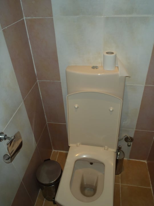 Wc i kúpeľňa boli pekné a vždy čisté Pickalbatros Palace Resort