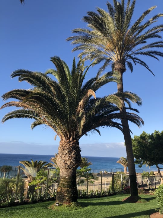Ausblick R2 Rio Calma Hotel & Spa & Conference