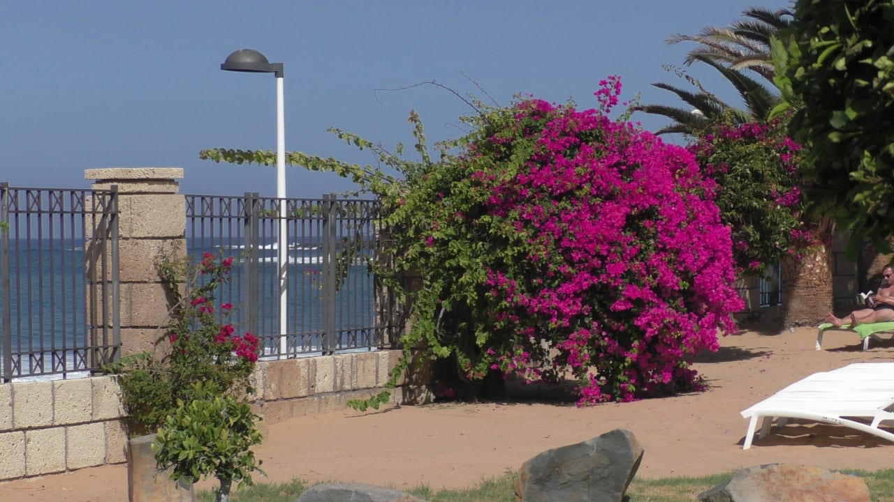 Bei der Minigolfanlage H10 Costa Adeje Palace