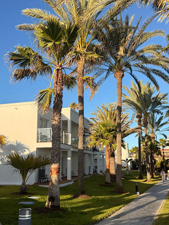 Gartenanlage Hotel Riu Palace Meloneras