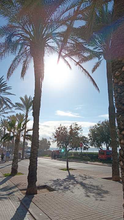 Sonstiges allsun Hotel Pil-lari Playa