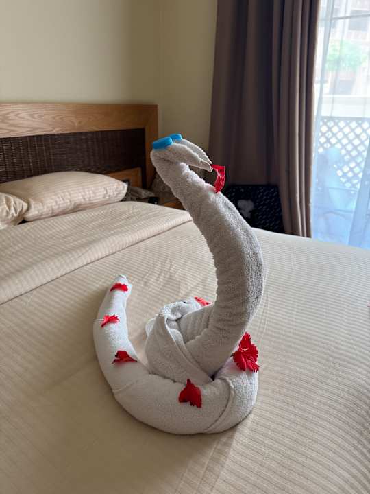 Zimmer The Grand Palace - Adults only