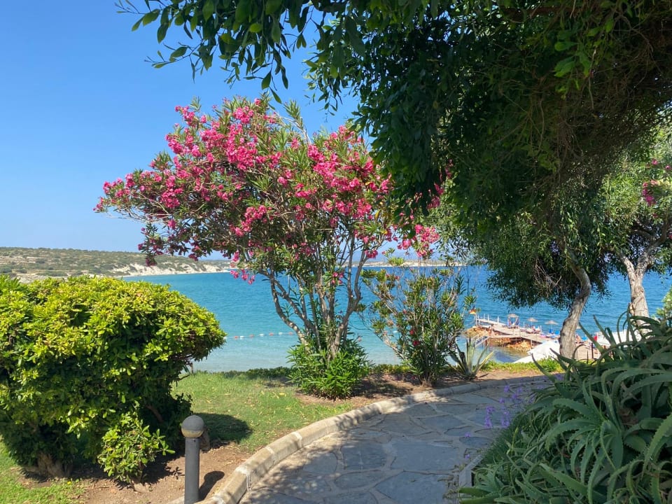 Gartenanlage Hotel Babaylon