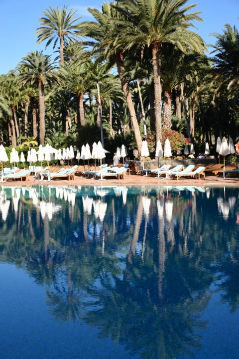 Hauptpool Seaside Hotel Palm Beach