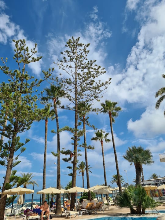 Pool CM Playa del Moro