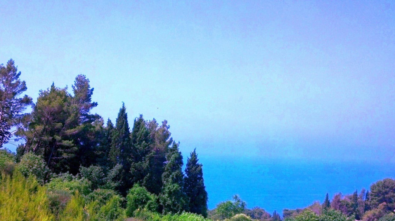 View from the house Apartments Lungo Mare