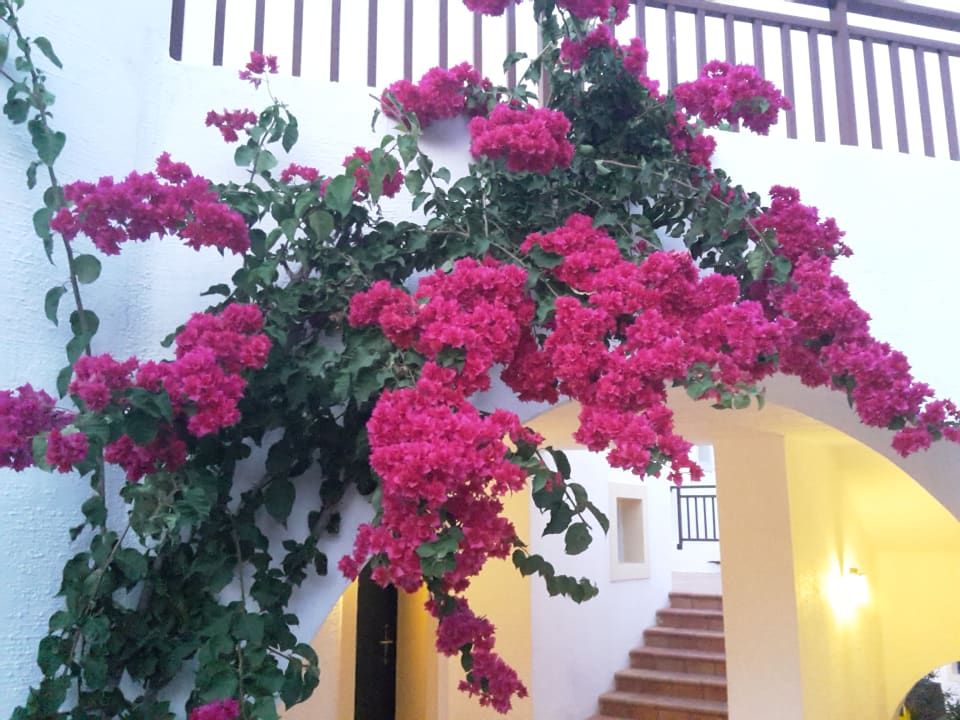 Gartenanlage Creta Maris Resort