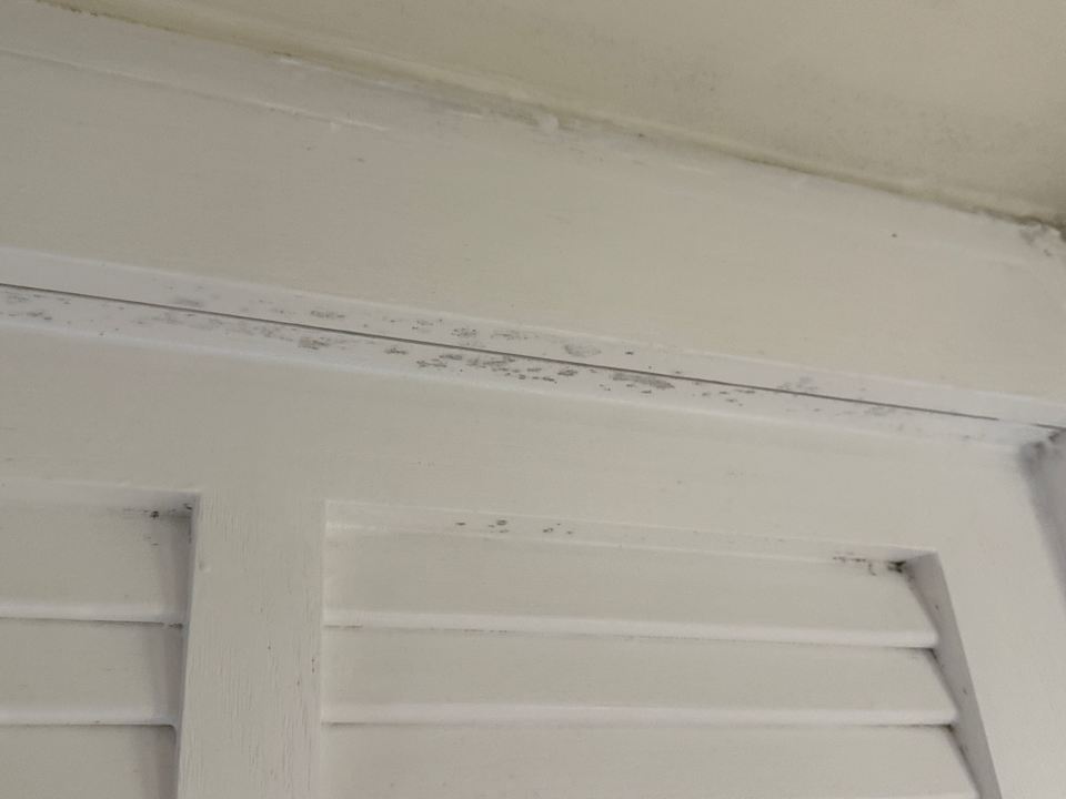 Zimmer Constance Belle Mare Plage