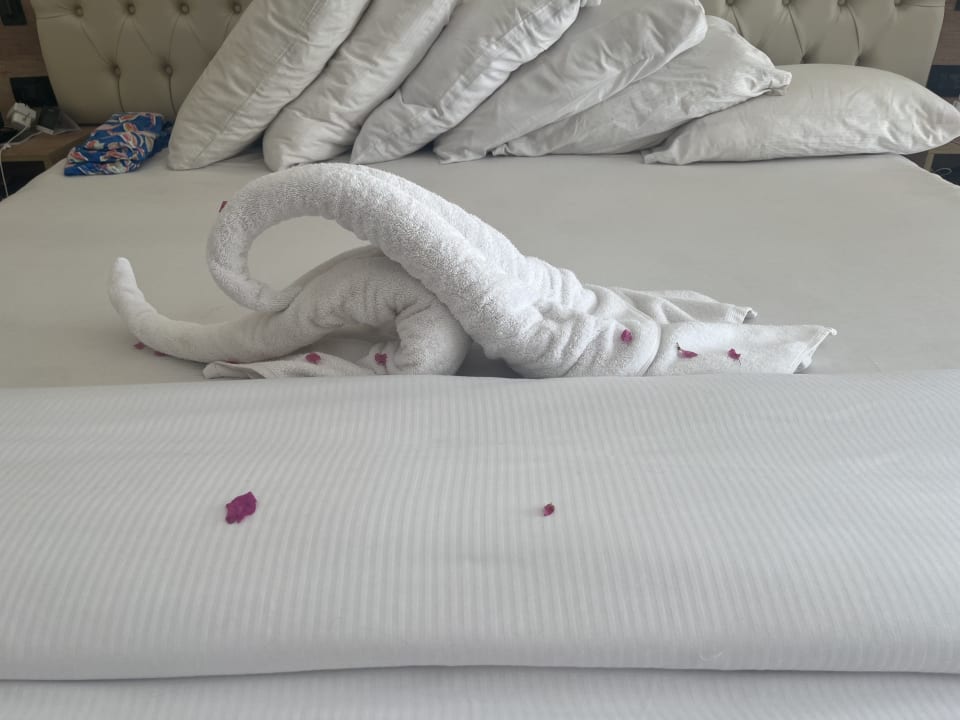 Zimmer Steigenberger ALDAU Beach Hotel