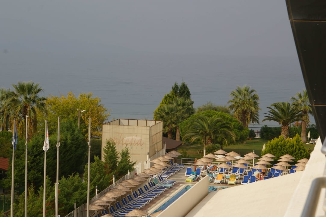 Blick aus dem Fenster in Richtung Meer Hotel Ephesia