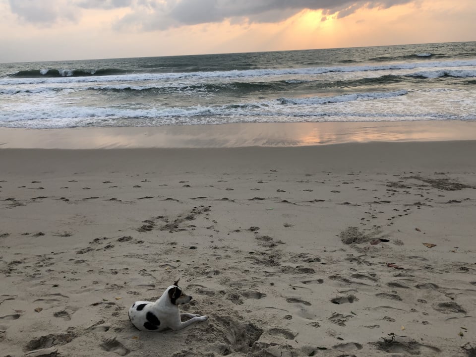 Strand Samui Resotel Beach Resort