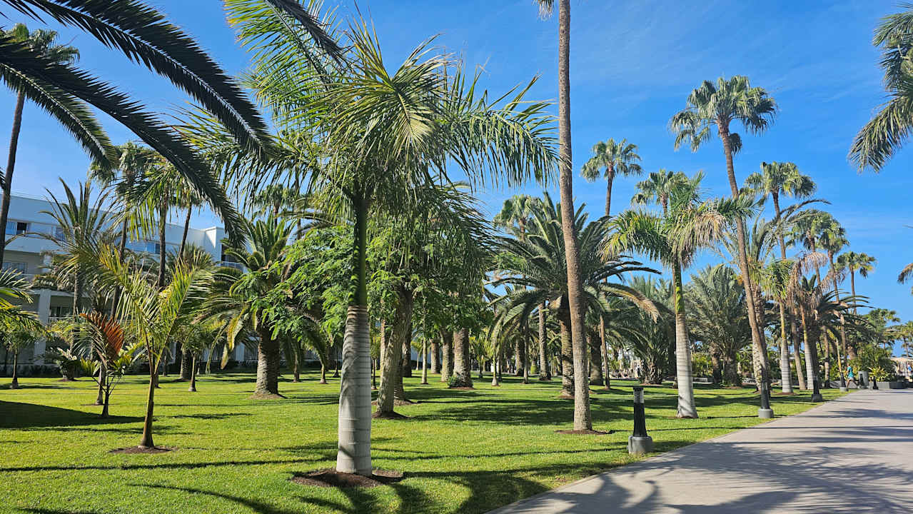 Gartenanlage Hotel Riu Gran Canaria