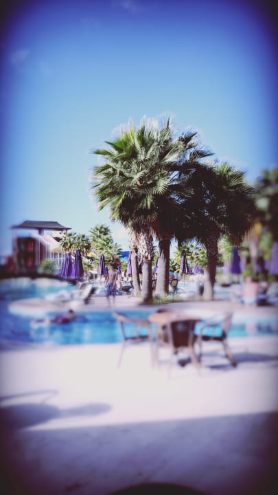 Pool Siam Elegance Hotels & Spa