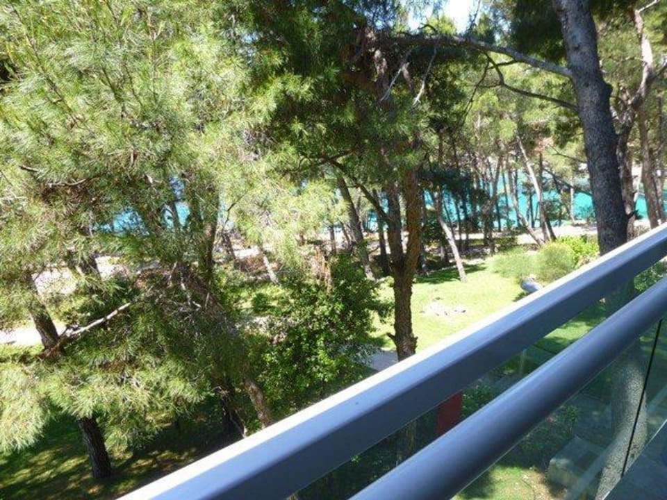 Blick vom Balkon Hotel Aurora