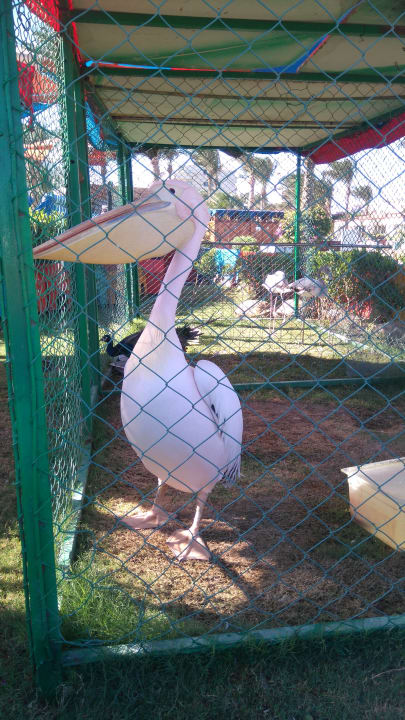 Pool Riviera Aqua Park Resort