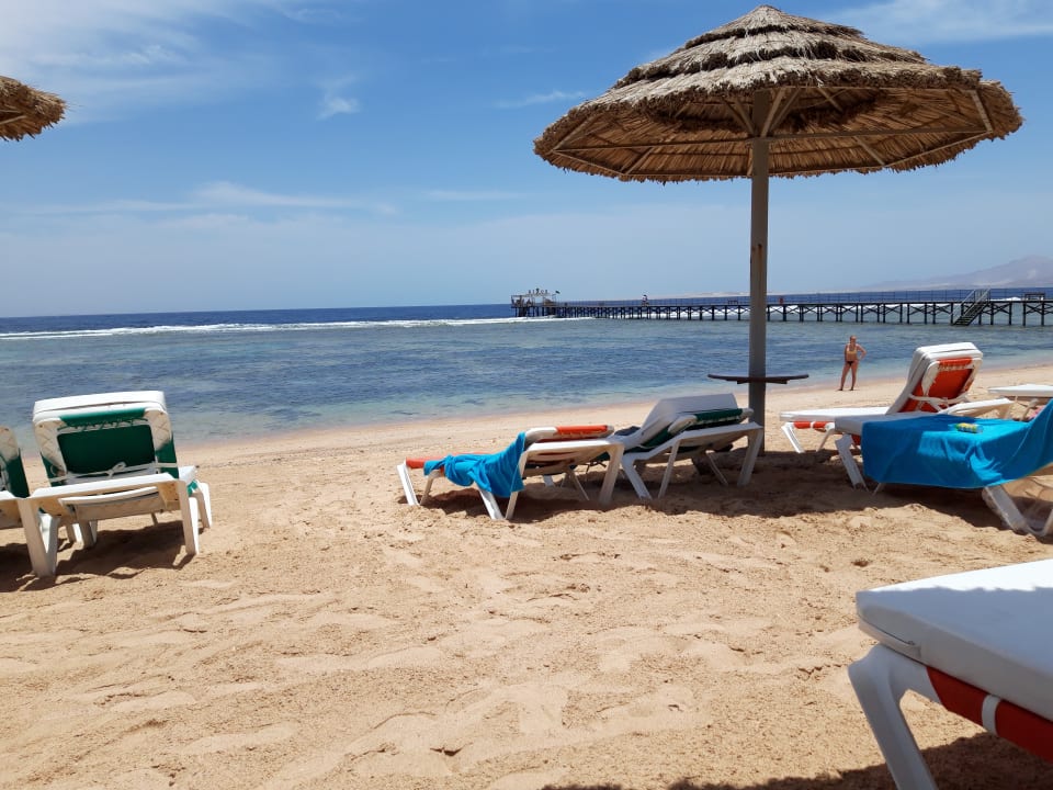 Strand Rixos Sharm El Sheikh Adults Only 18 +
