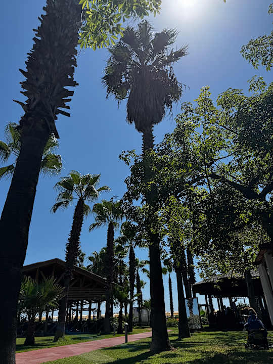 Gartenanlage Saturn Palace Resort Hotel