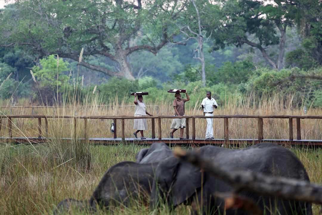 Hier kommt unser Morgenkaffee mit Elis im Vordergr Hotel Gunns Camp
