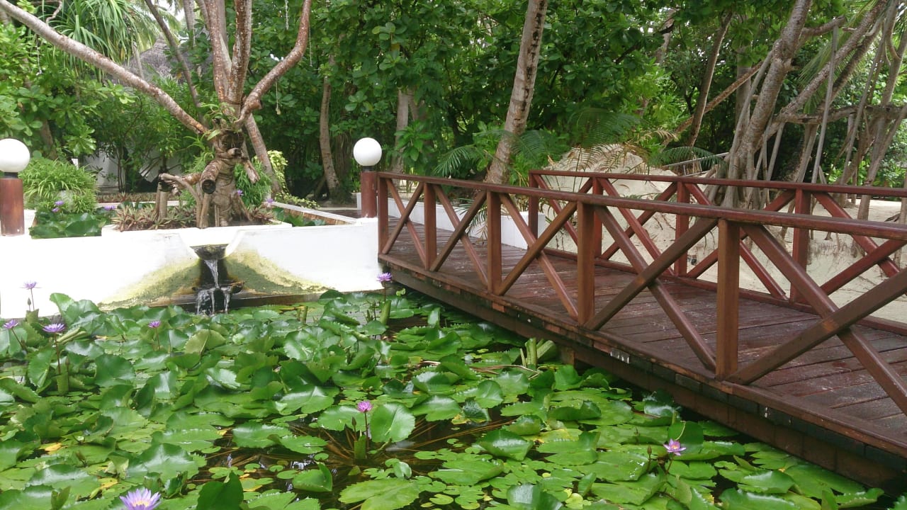 Im Inselinneren Angaga Island Resort