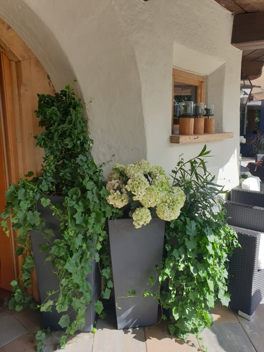 Sonstiges Hotel Chesa Monte