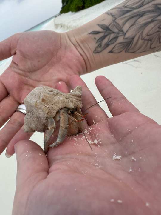 Sonstiges NH Collection Maldives Reethi Resort