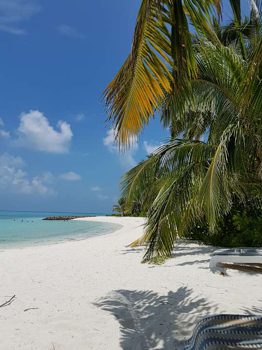 Strand Summer Island Maldives