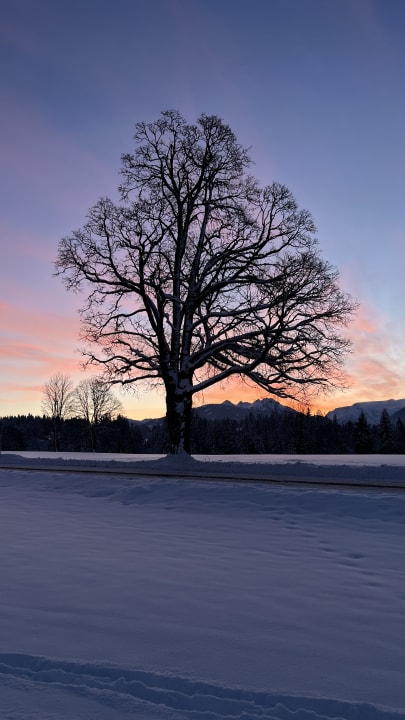 Ausblick Premium Wanderhotel Steirerhof
