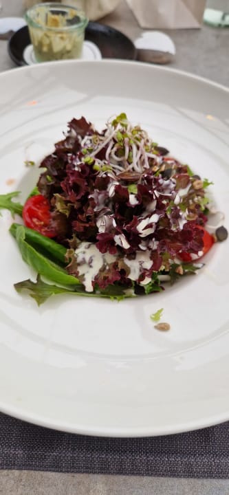 Gastro Sonne Seehotel