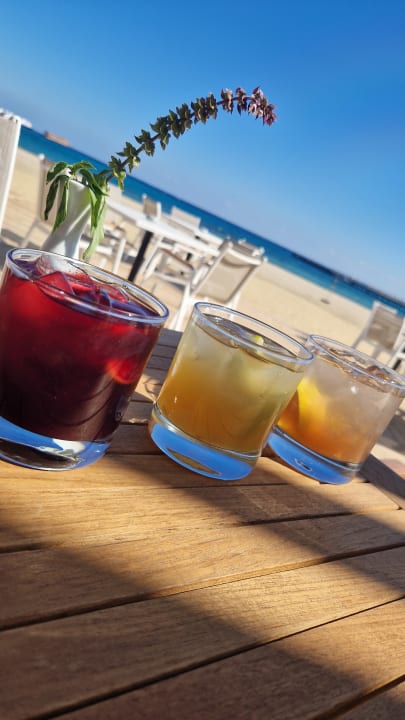 Gastro JAZ Elite Amara