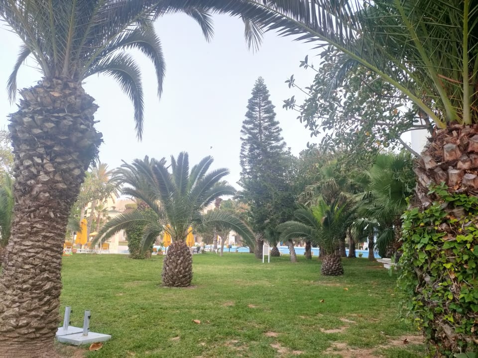 Gartenanlage Mahdia Beach & Aquapark
