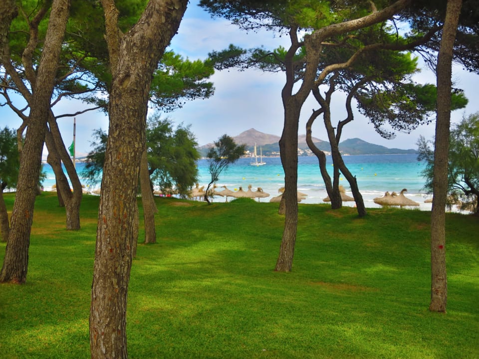 Rasenanlage Iberostar Waves Playa de Muro