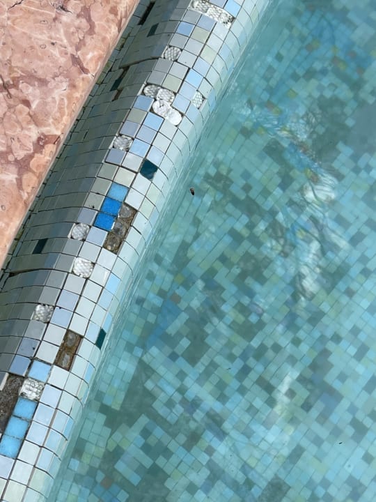 Pool Hotel Marco Polo