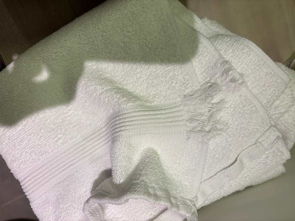 Zimmer Hotel Mercure Blankenberge Station