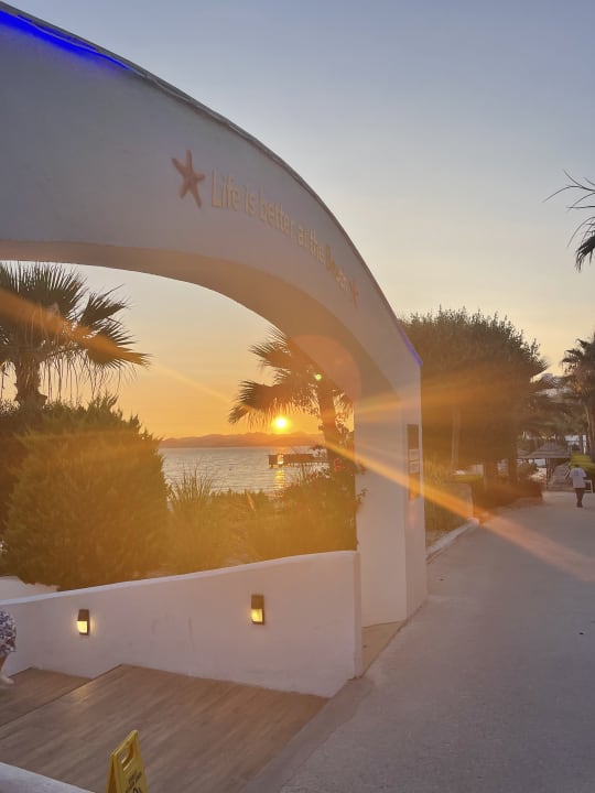 Ausblick TUI MAGIC LIFE Bodrum - Adult Only (16+)