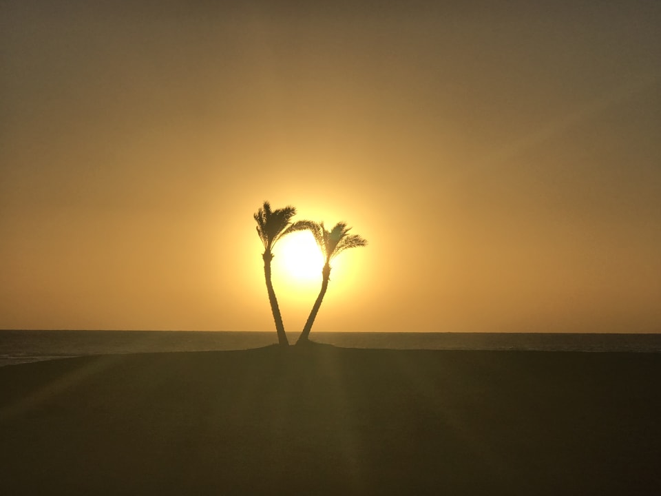 Strand Malikia Resort Abu Dabbab