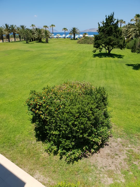 Ausblick Caravia Beach Hotel
