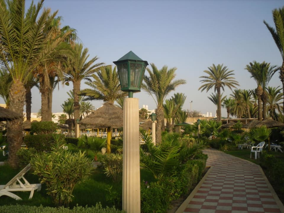 Ogród przy basenie Houda Golf & Beach Club