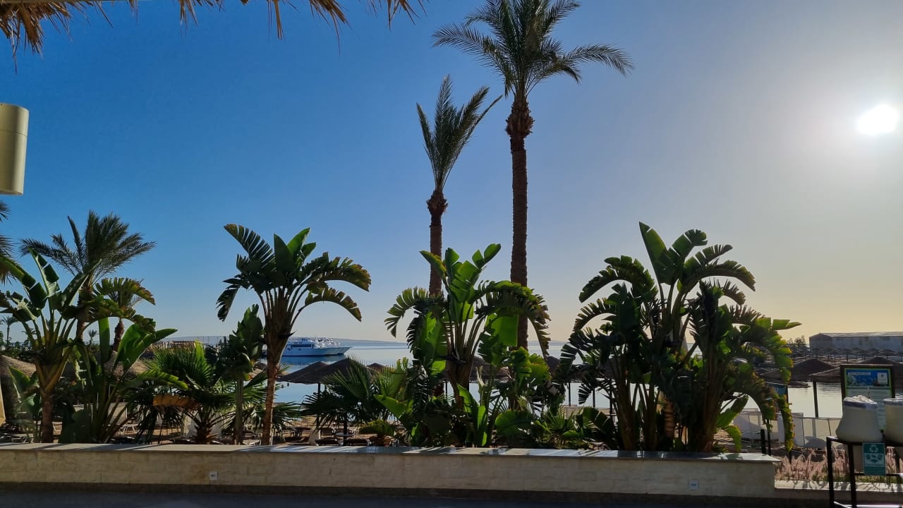 Ausblick JAZ Elite Casa del Mar Beach
