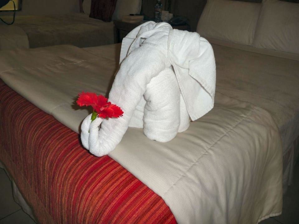 Handtuchtier Grand Sirenis Riviera Maya Resort & Spa