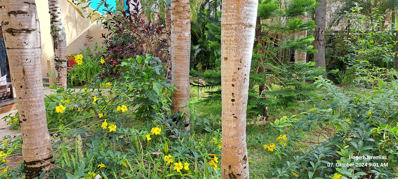 Außenansicht Friday Attitude