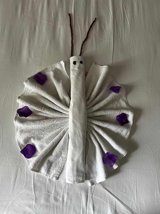 Zimmer Dream Water World