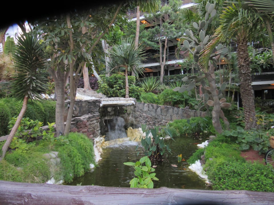 Gartenanlage Hotel Parque Tropical