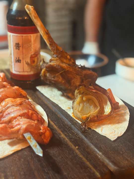 Gastro Seashell Vega