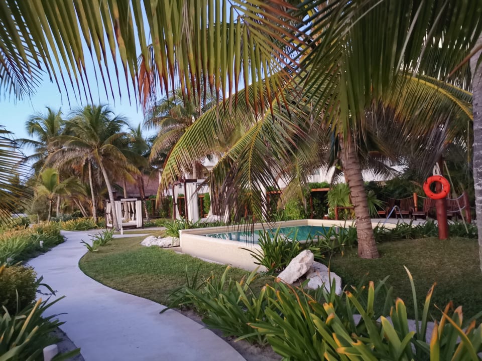 Pool Akumal Bay Beach & Wellness Resort