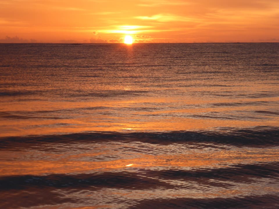 Da ist sie ja Punta Cana Princess All Suites Resort & Spa