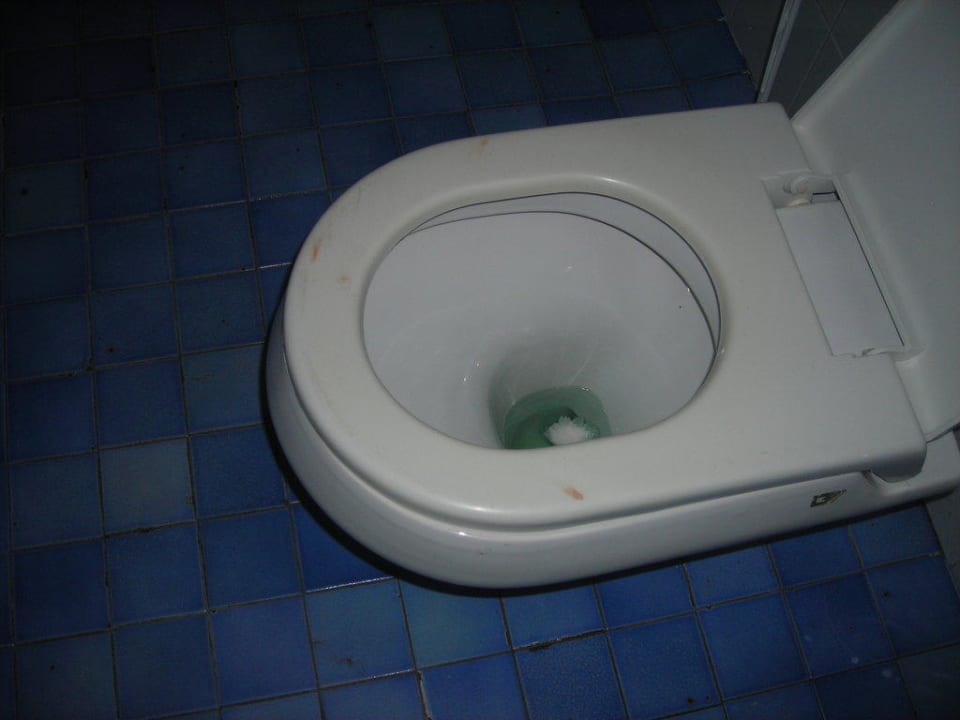 Toilette bei Einzug Rosapineta Camping Village