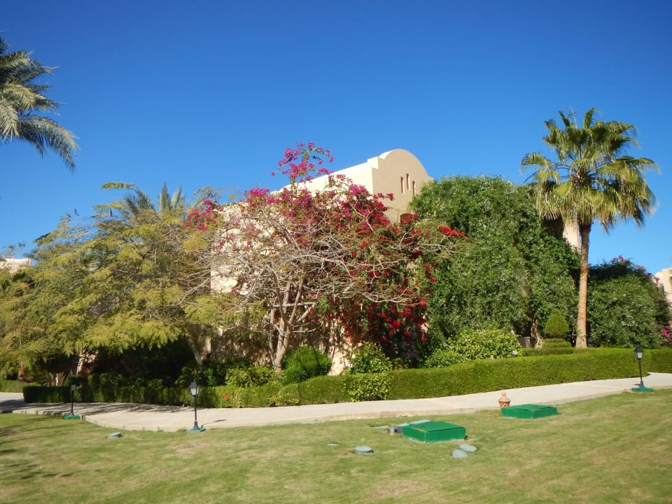 Garten Steigenberger Coraya Beach - Adults only