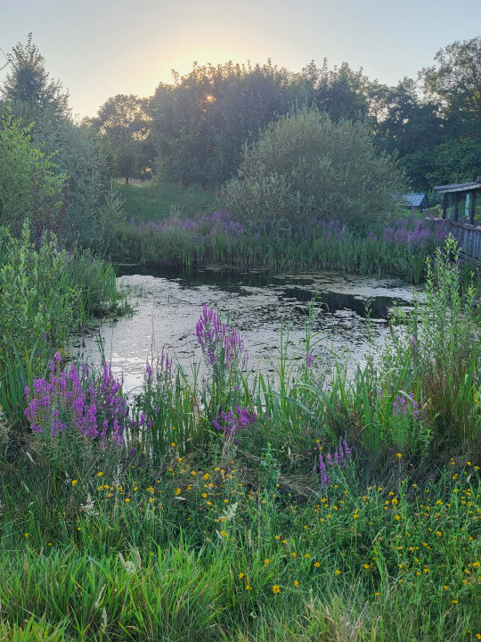 Gartenanlage Landhotel Voshövel