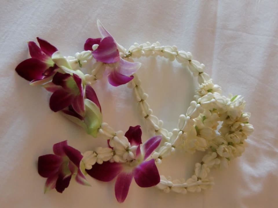 Willkommensgruß Novotel Phuket Kata Avista Resort and Spa